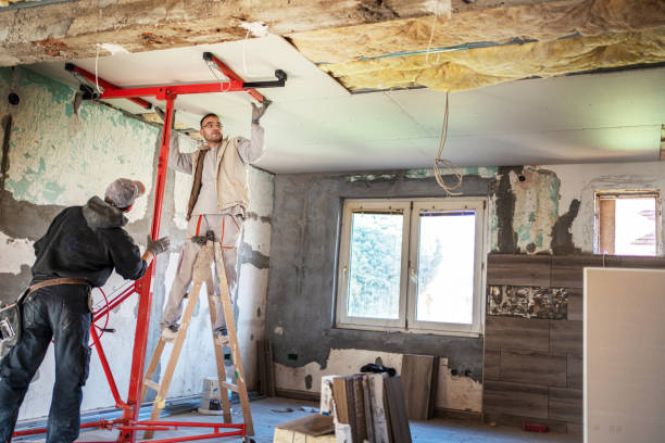 Best Specialty Insulation in Forestville, OH
