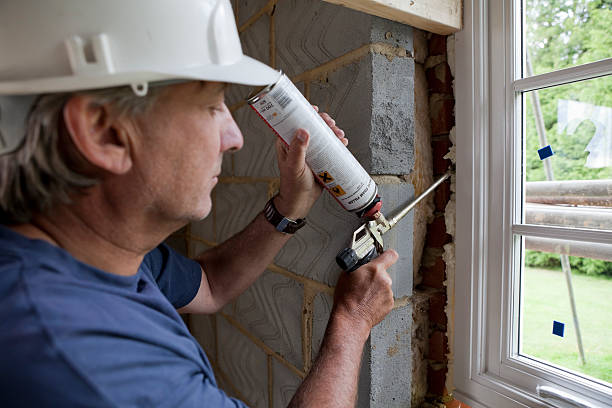 Best Insulation Maintenance and Repair in Forestville, OH