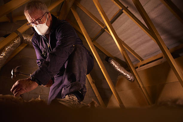 Best Insulation Installation Services in Forestville, OH